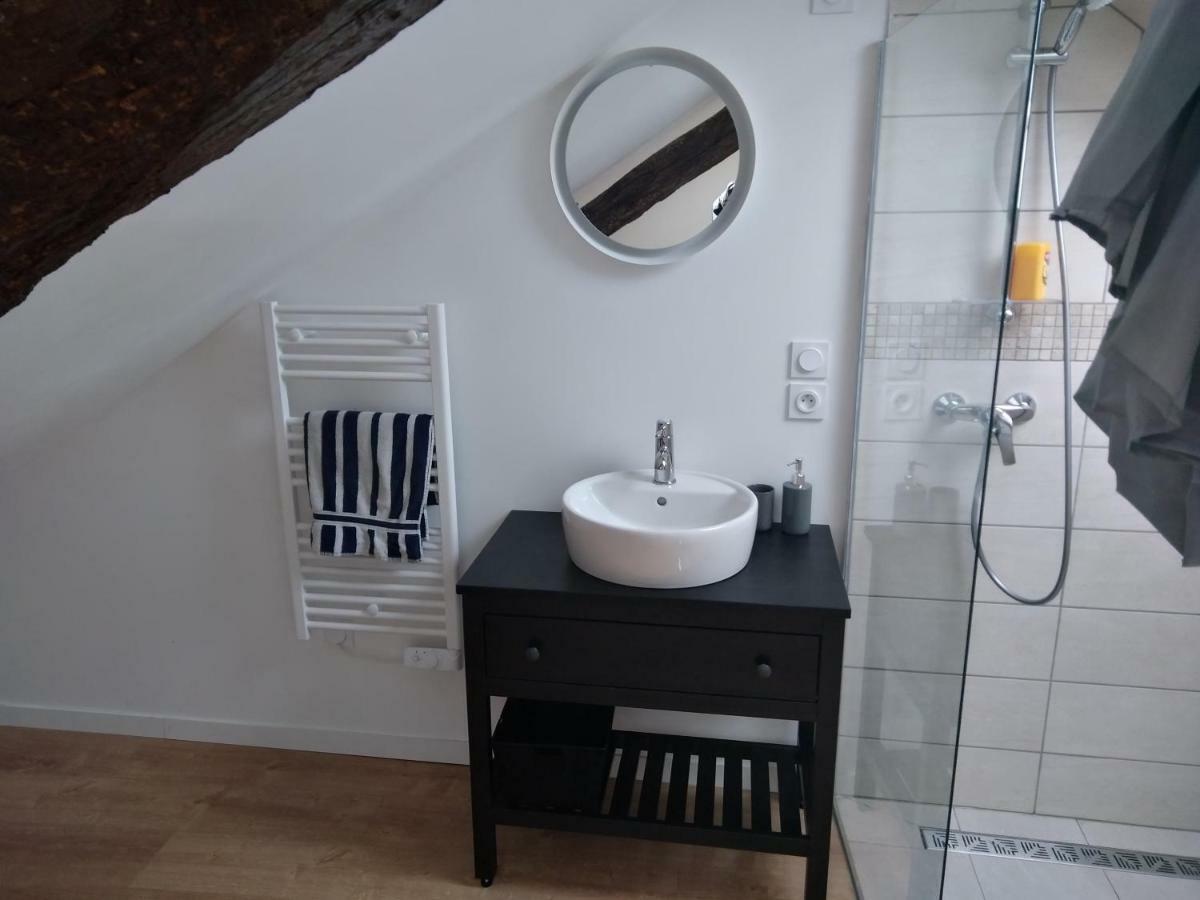 Loft Bien Equipe Hyper Centre D'Amboise Apartment ภายนอก รูปภาพ